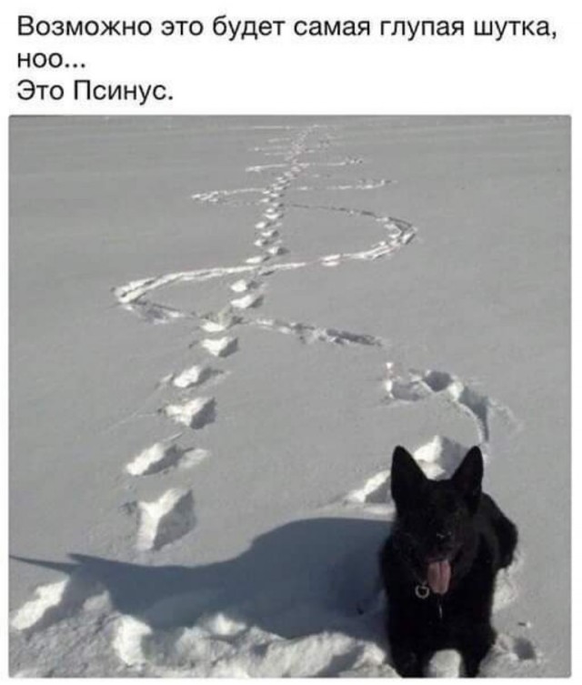 Бредзона 20.05.2020