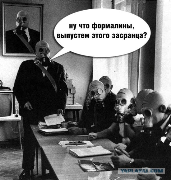 Завтра амнистия ТвердогоЗнака!