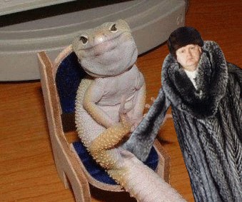 Анкета с сайта знакомств