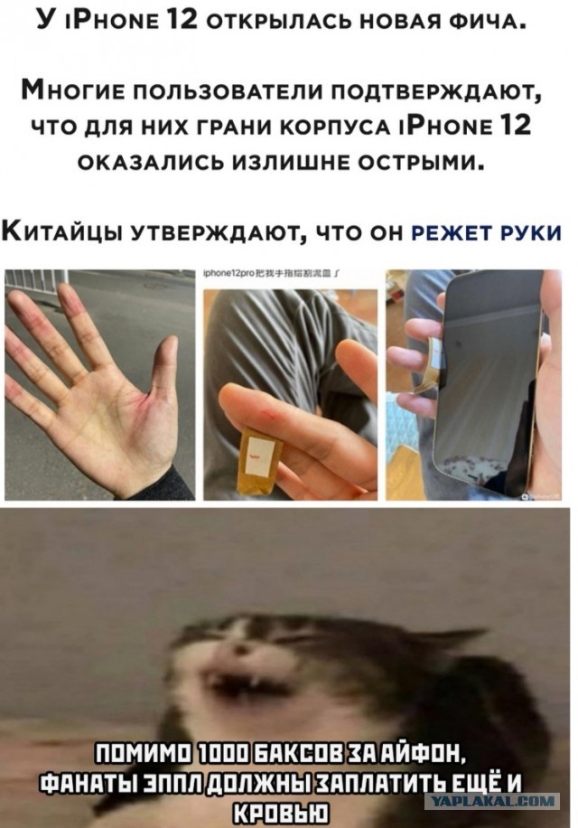 Юмор и прикольные картинки