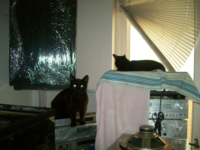 Моя красотка