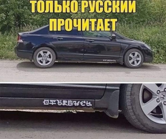 Фотки и картинки: юморные и красивые, забавные и милые 08.01.21
