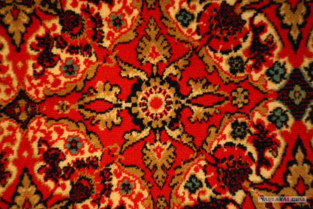 Котёнок боится слезть с дивана