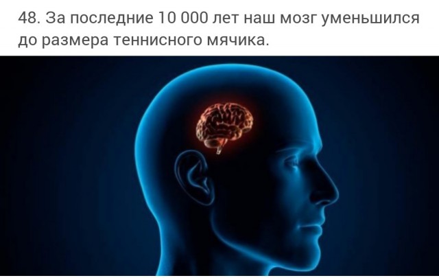 60 удивительных фактов о природе