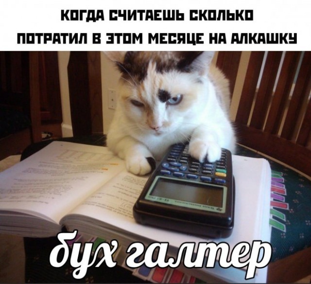 Так себе картинки 24.08.21
