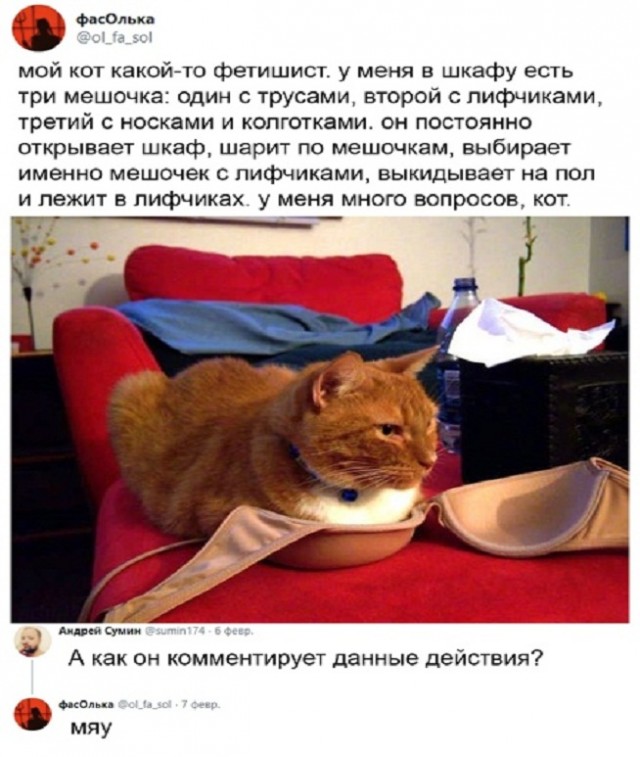 Картинки и мемы для настроения 18.10.2021