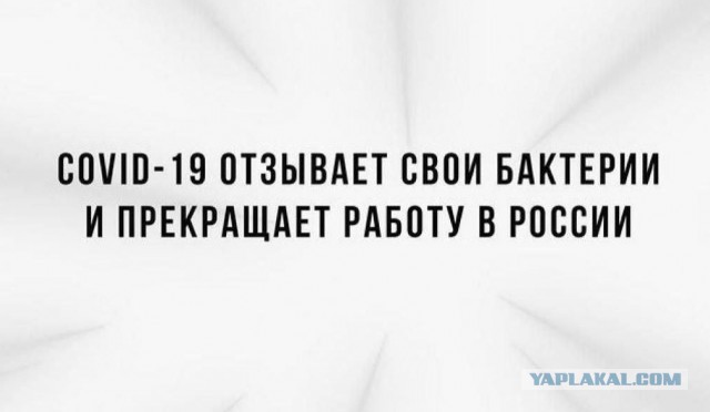 Ковид болезнь изменившая мир проект В свете последних событий - ЯПлакалъ