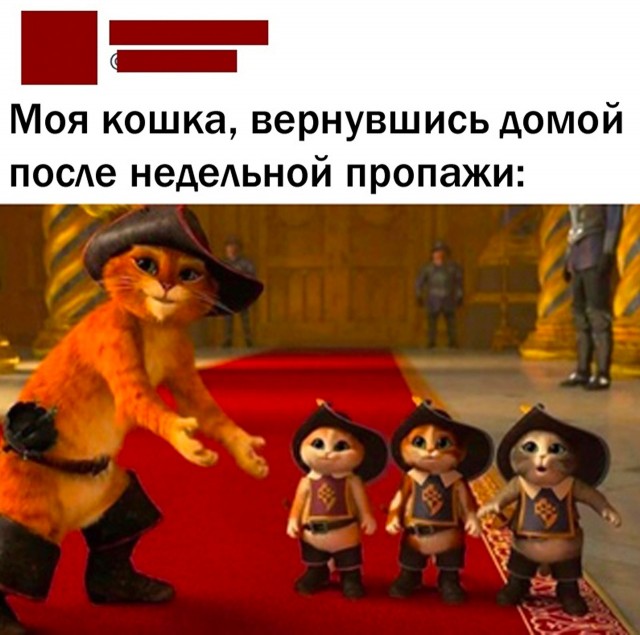 Так себе картинки 03.04.22