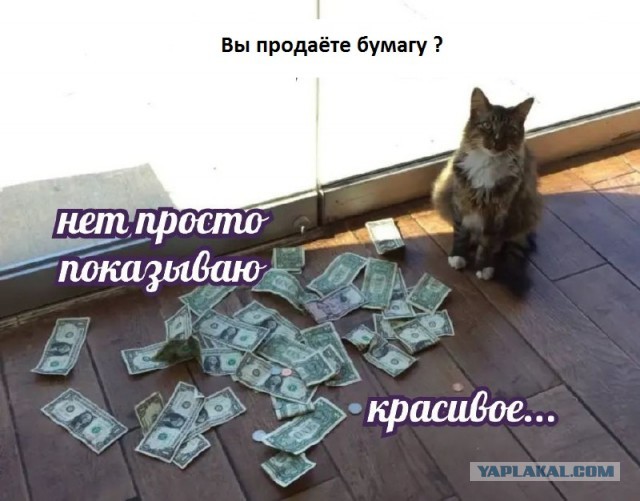 Первые изменения