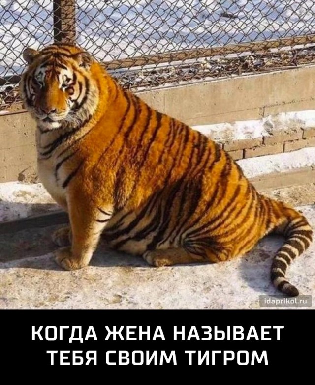 Муж и жена - одна сатана?