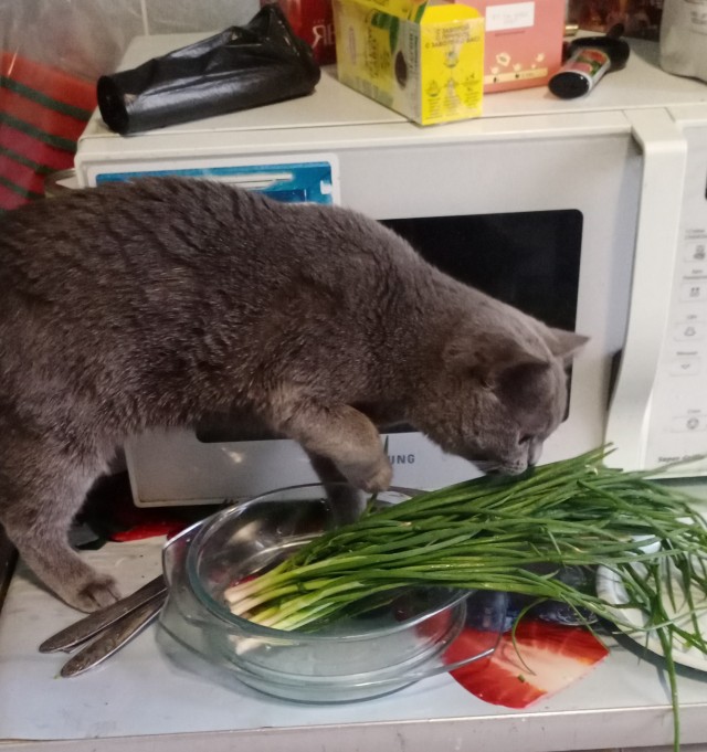 У кого так же?