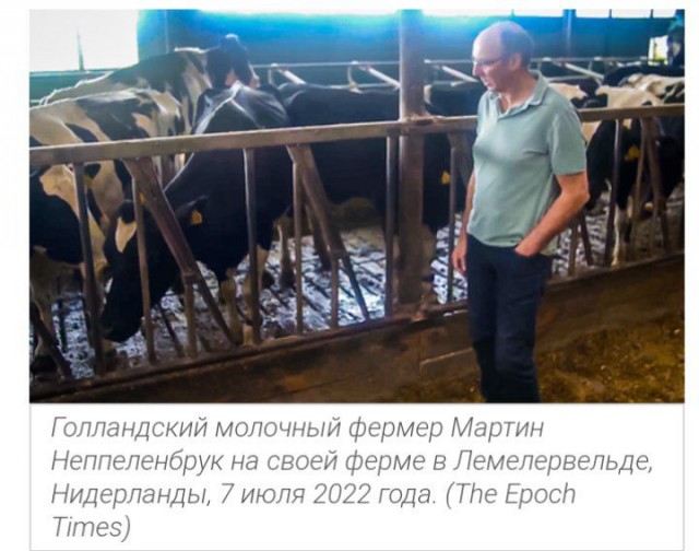 Пандемия съехавших крыш - разновидности болезни. Россия и мир. Часть 38
