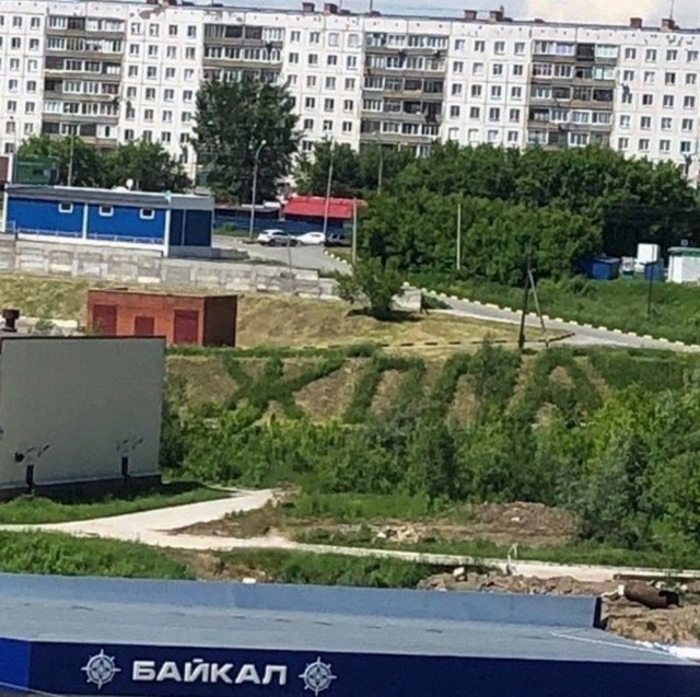 Картинки и мемы, всем хороших выходных
