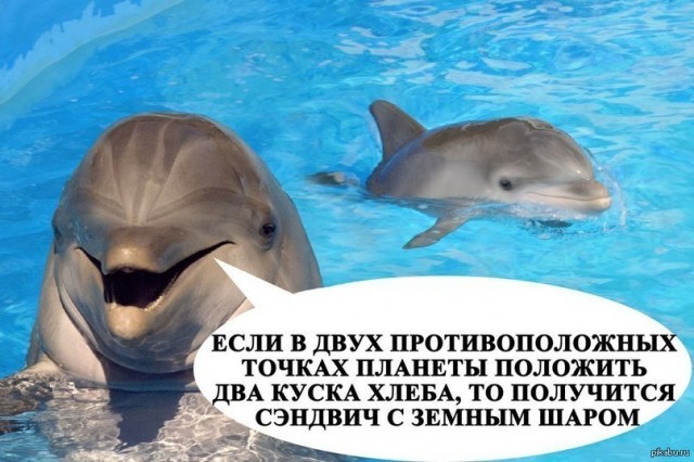 Воскресная наркомания, для деградантов