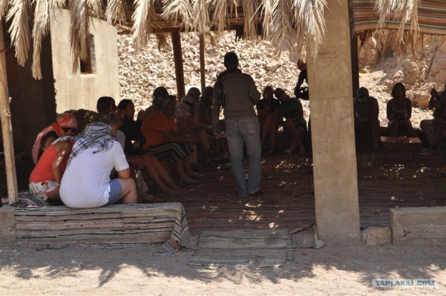 Как я ездил в Египет