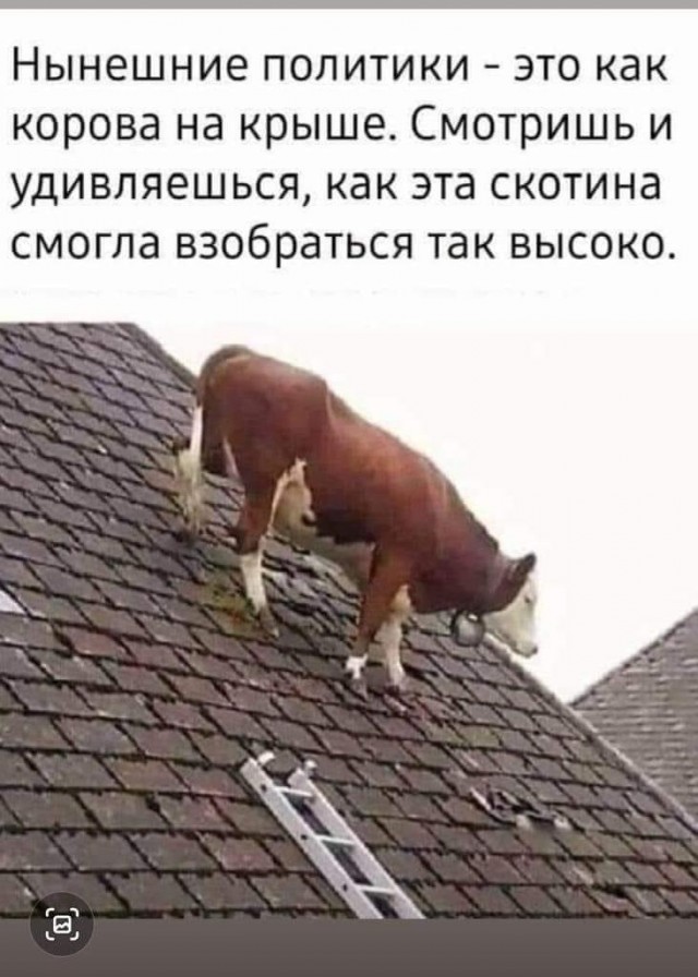 Топалов теперь эксперт Госдумы по криптовалютам.