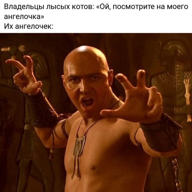 Немного картинок для настроения - 131