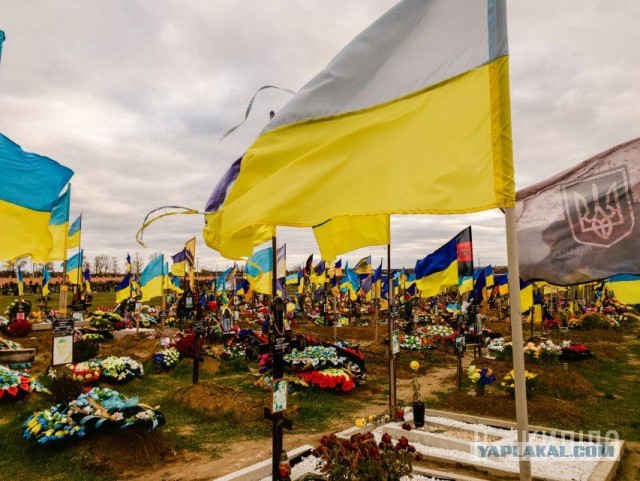 Потери украинских войск в боях за Соледар могут составлять 25 тысяч человек