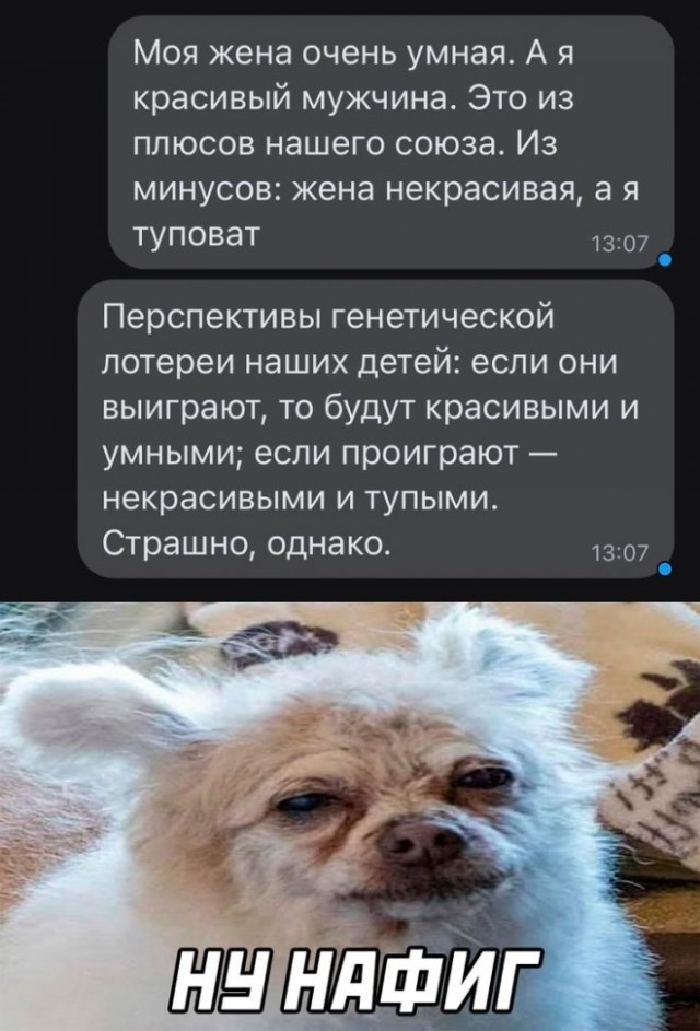 Картинки и мемы, всем хороших выходных