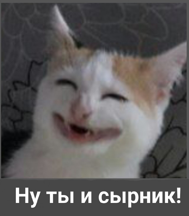 Хочу признаться....