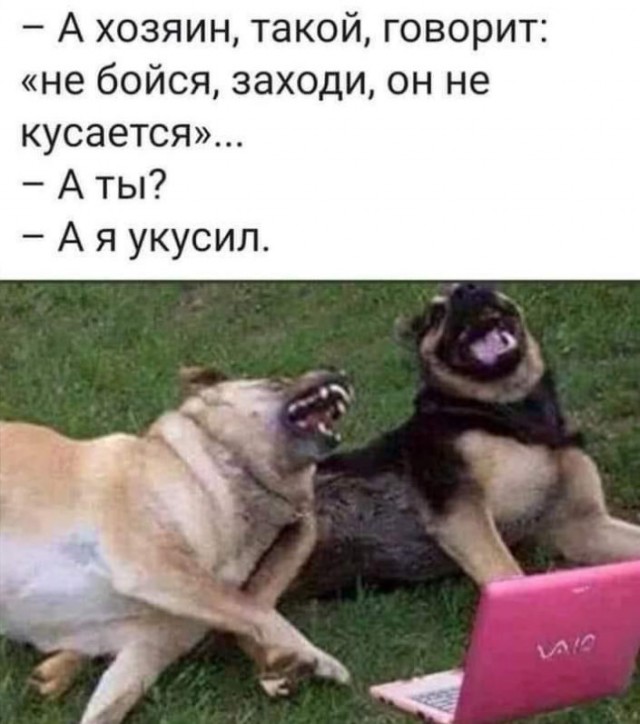 10 .jpg вам в хату