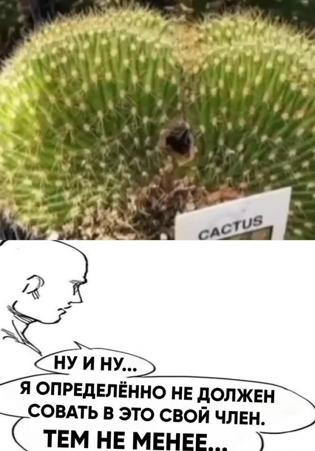 Всего понемногу. Пятничный выпуск