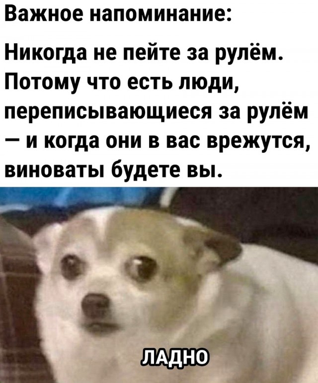 Так себе картинки 14.06.23