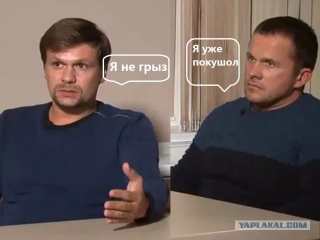 Акула напала на женщину на пляже Rockaway в Нью-Йорке
