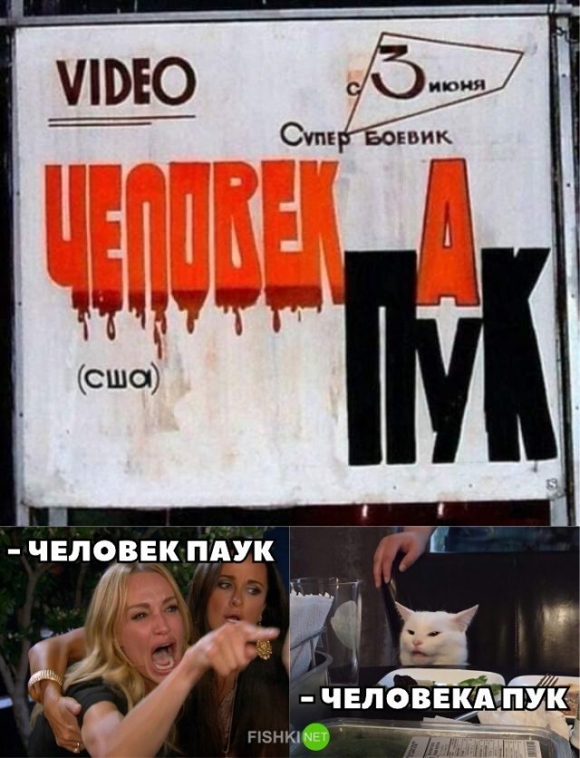 Cмaдж — тот caмый котик из мeмoв сегодня