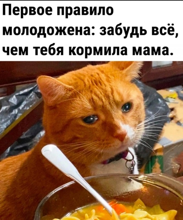 Решил найти жену. Женщины 33-37 лет... Наблюдения