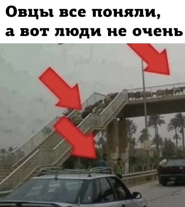 Так себе картинки 31.03.24