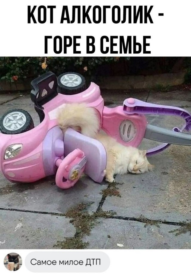 Суббота! Баяны! Красота!