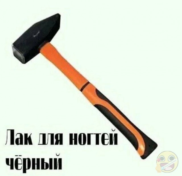 Весёлый полтишок 12.09.24