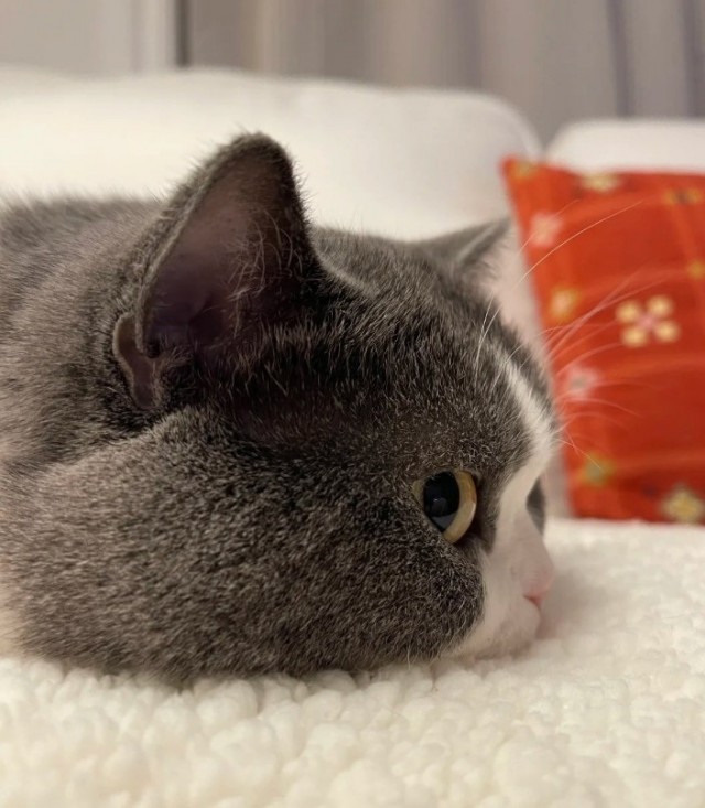 Чем бы заняться? Вторник же