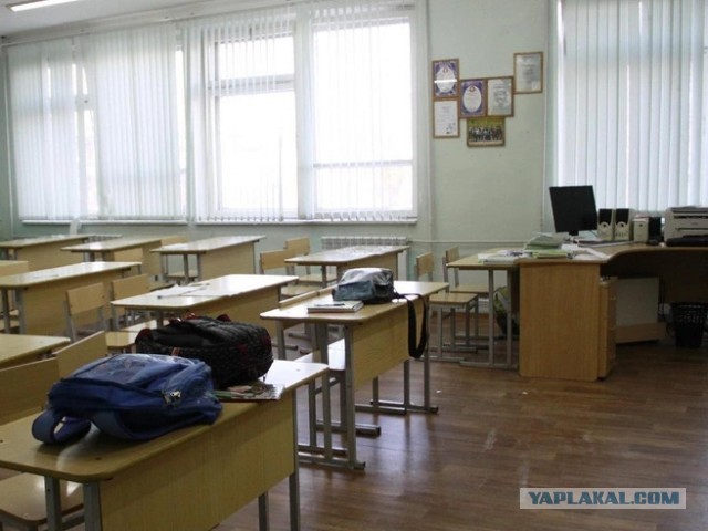 Служебное расследование в отношении учительницы, которую покрыл матом ребенок, не отменят