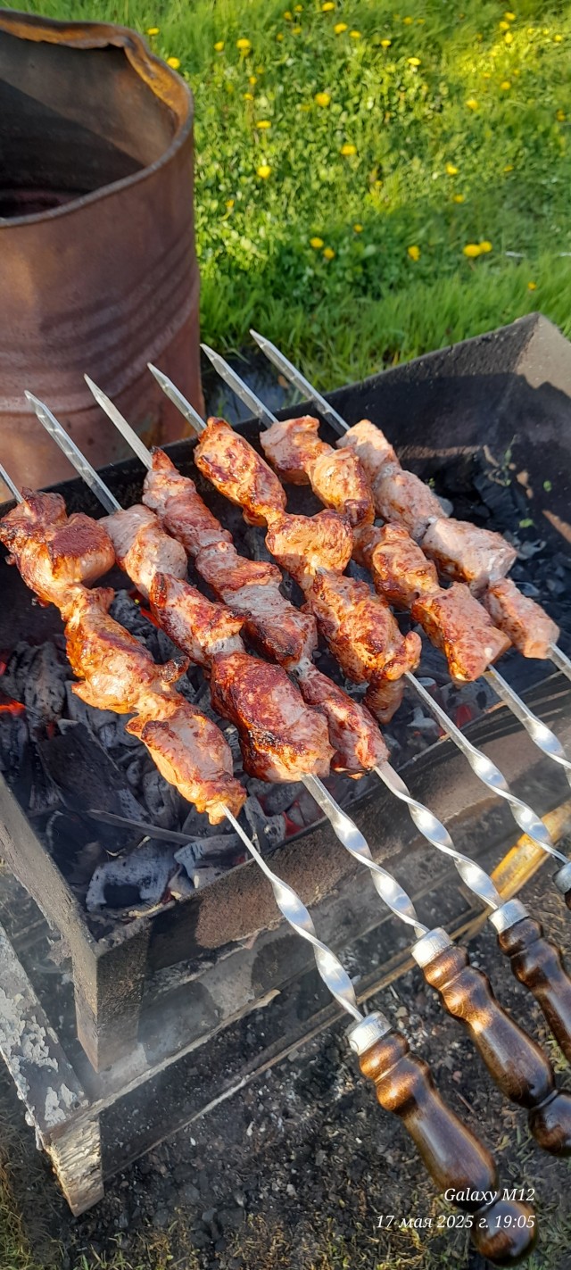 Вечерний шашлык