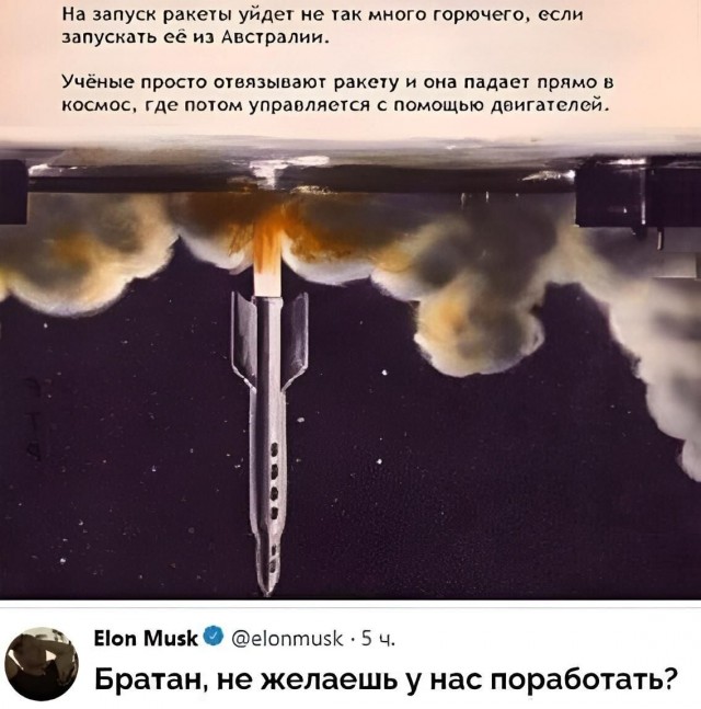 Попугай сорвал пуск первой австралийской ракеты
