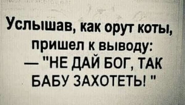 Так себе картинки 17.06.25