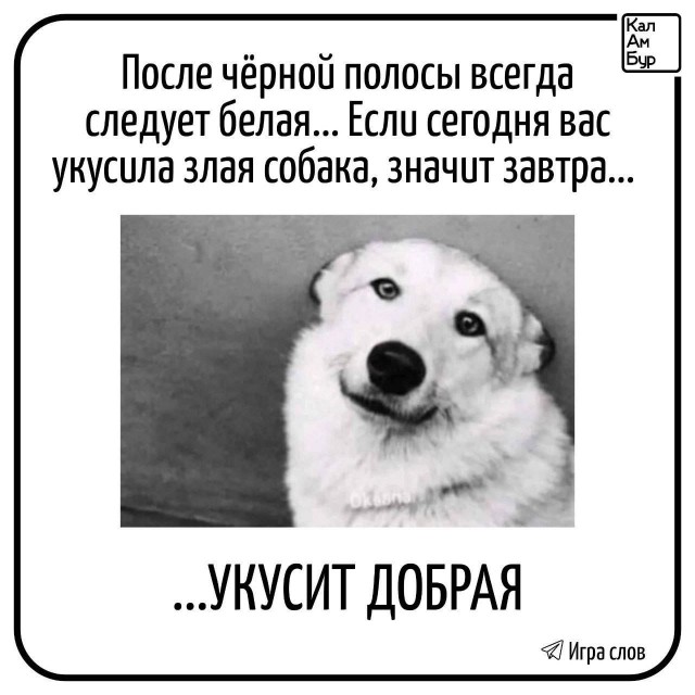 Весёлый полтишок 22.08.25