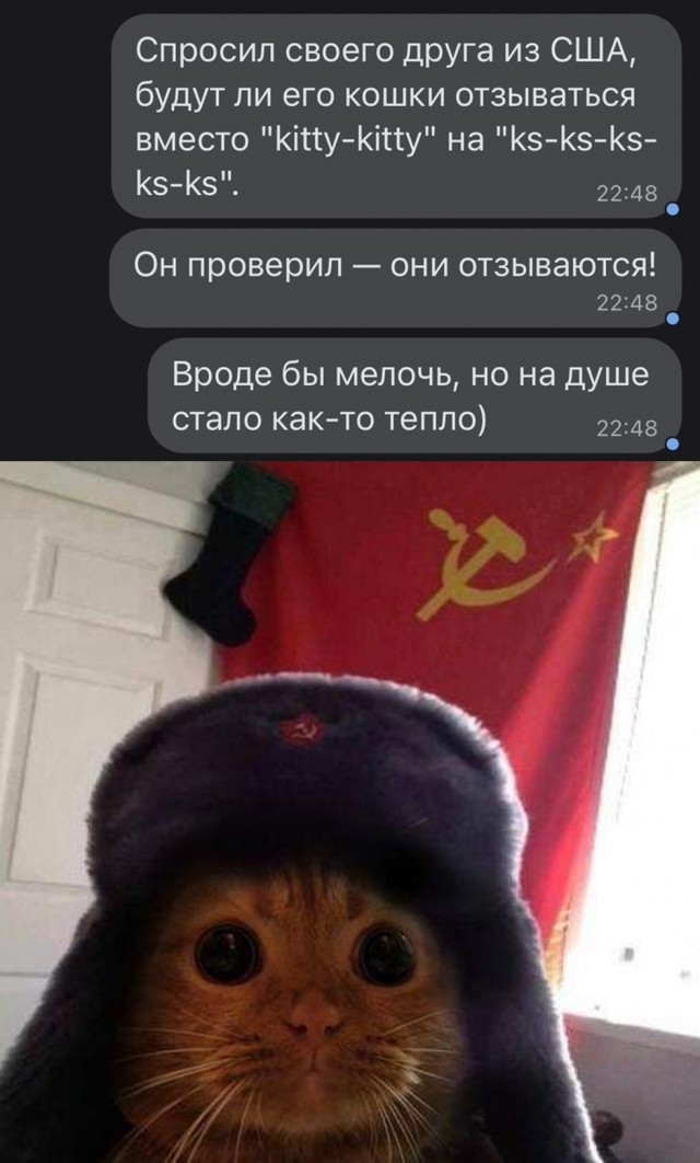 20421730.jpg