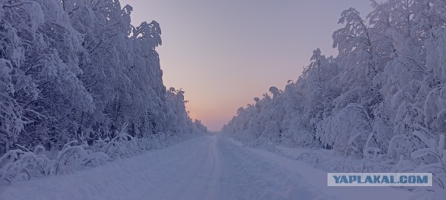 Зимняя дорога