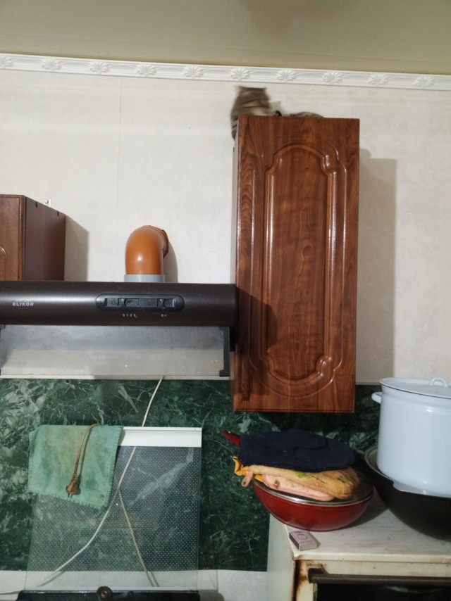 Shurup модерирует ЯП в ночь на 1 января