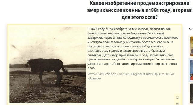 Осёл