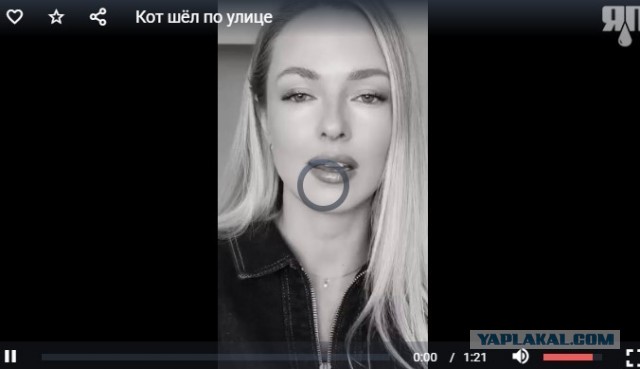 Кот шёл по улице