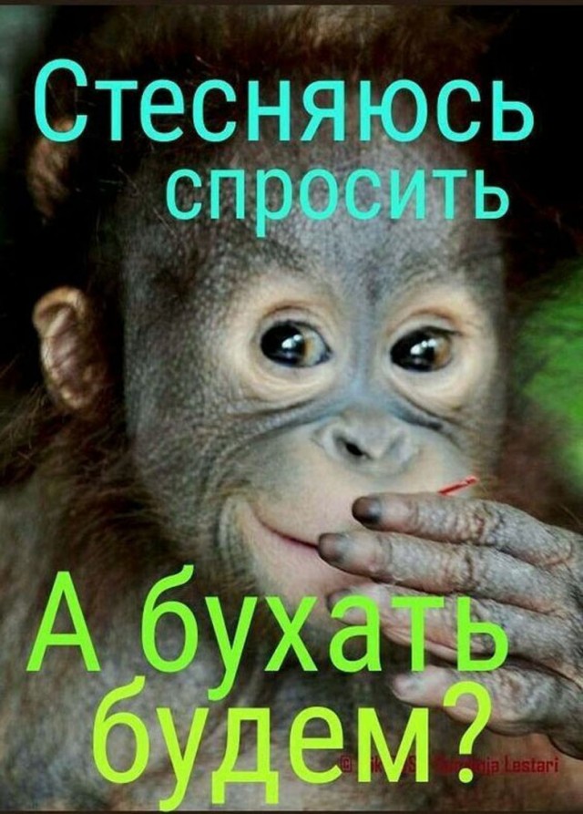 Прикольные и просто красивые картинки 04.09.2026