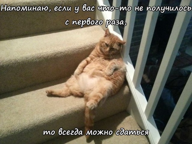 Зато честно