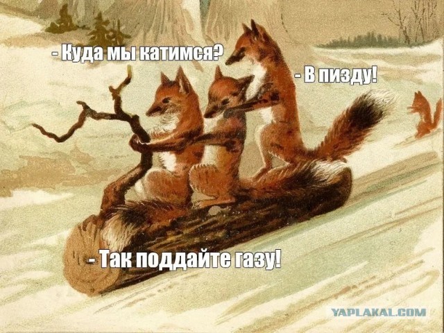 Отмена льготы по НДС на деликатесы принесет бюджету РФ 6 млрд