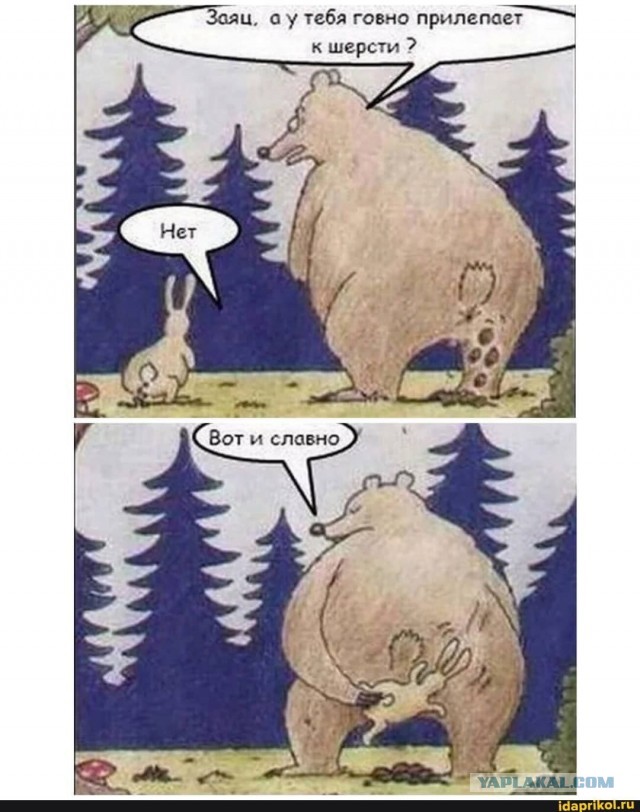 Пугатель медведя