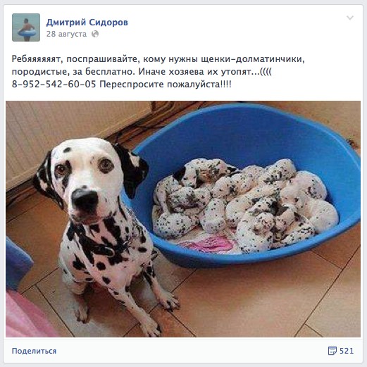 10 способов отличить обман в интернете от просьбы