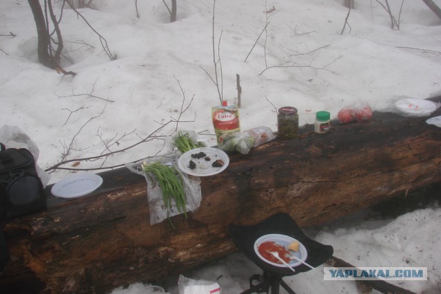 На всех шампурах Страны!